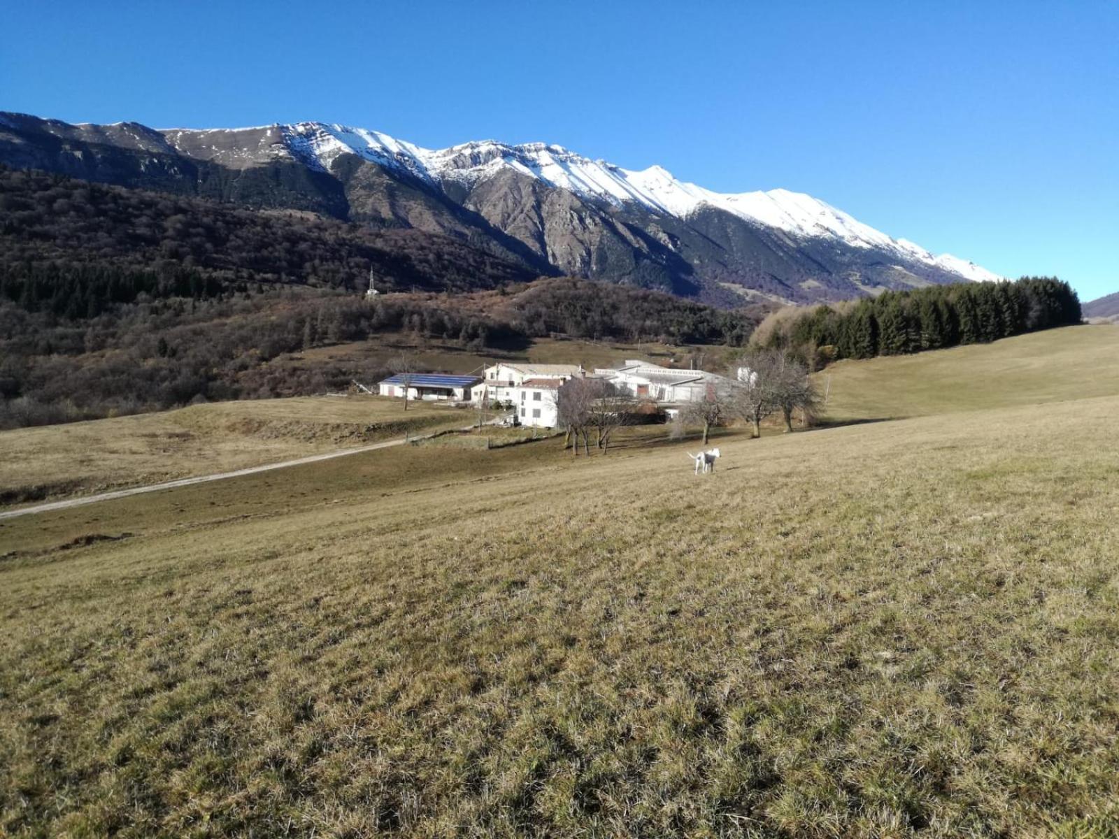 Agriturismo Preele Vila Ferraro di Monte Baldo Exterior foto
